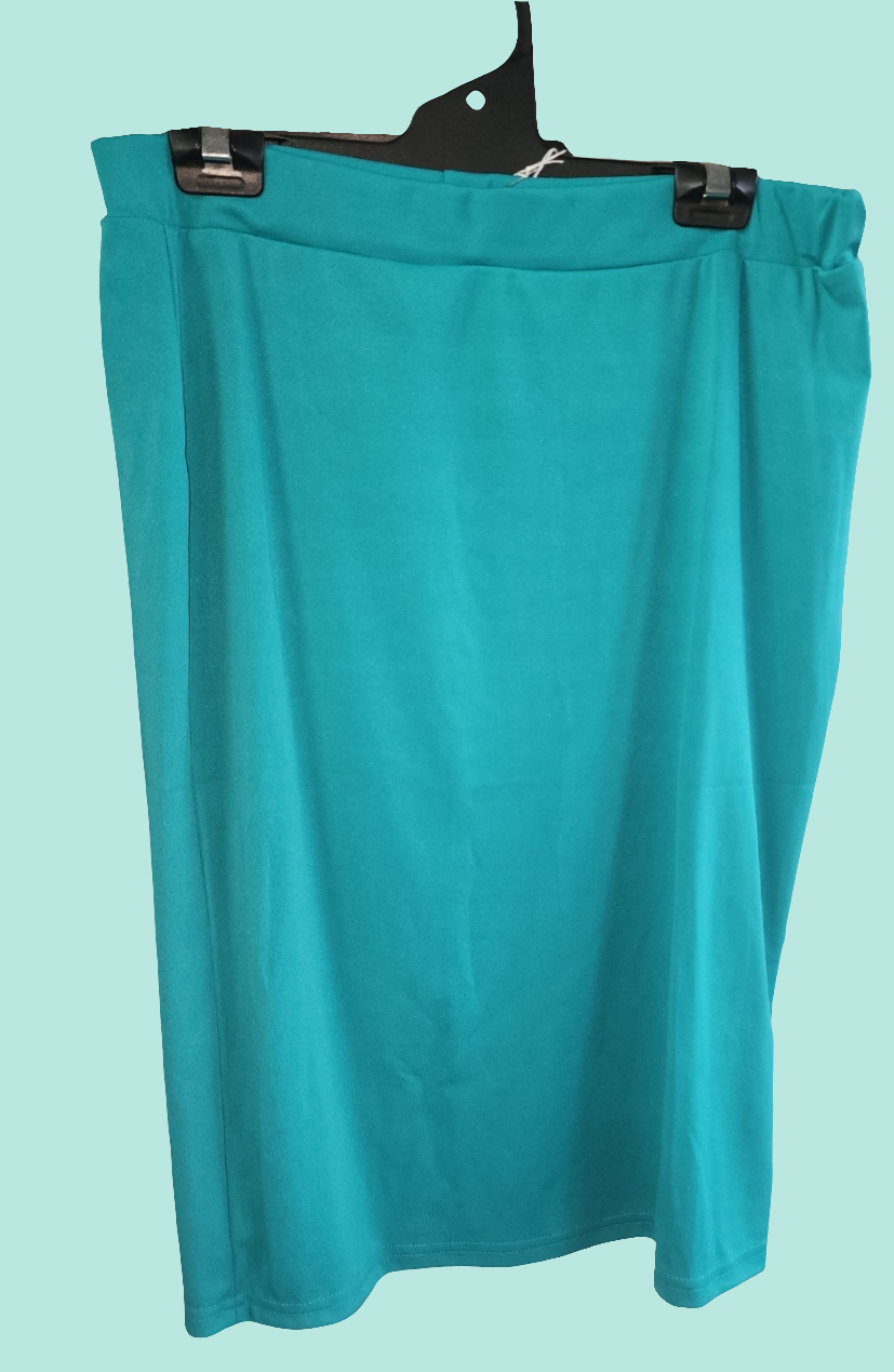 Skirt & Top 2 Pce Set