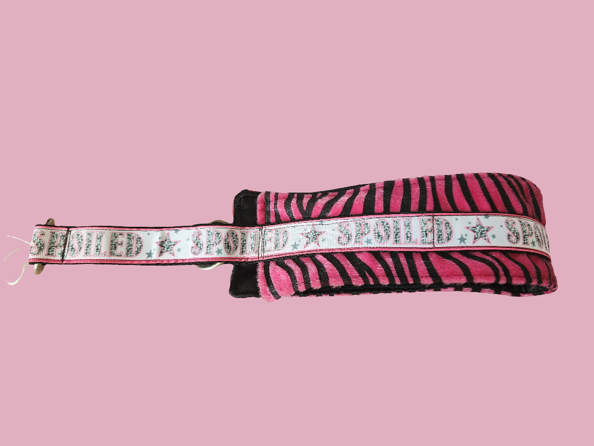 Spoiled Collar