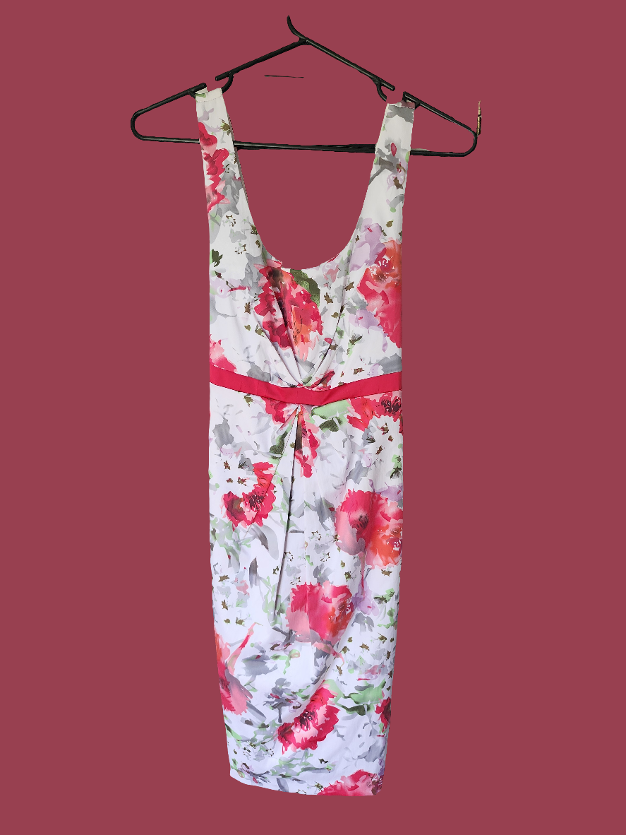 Ladies Dress