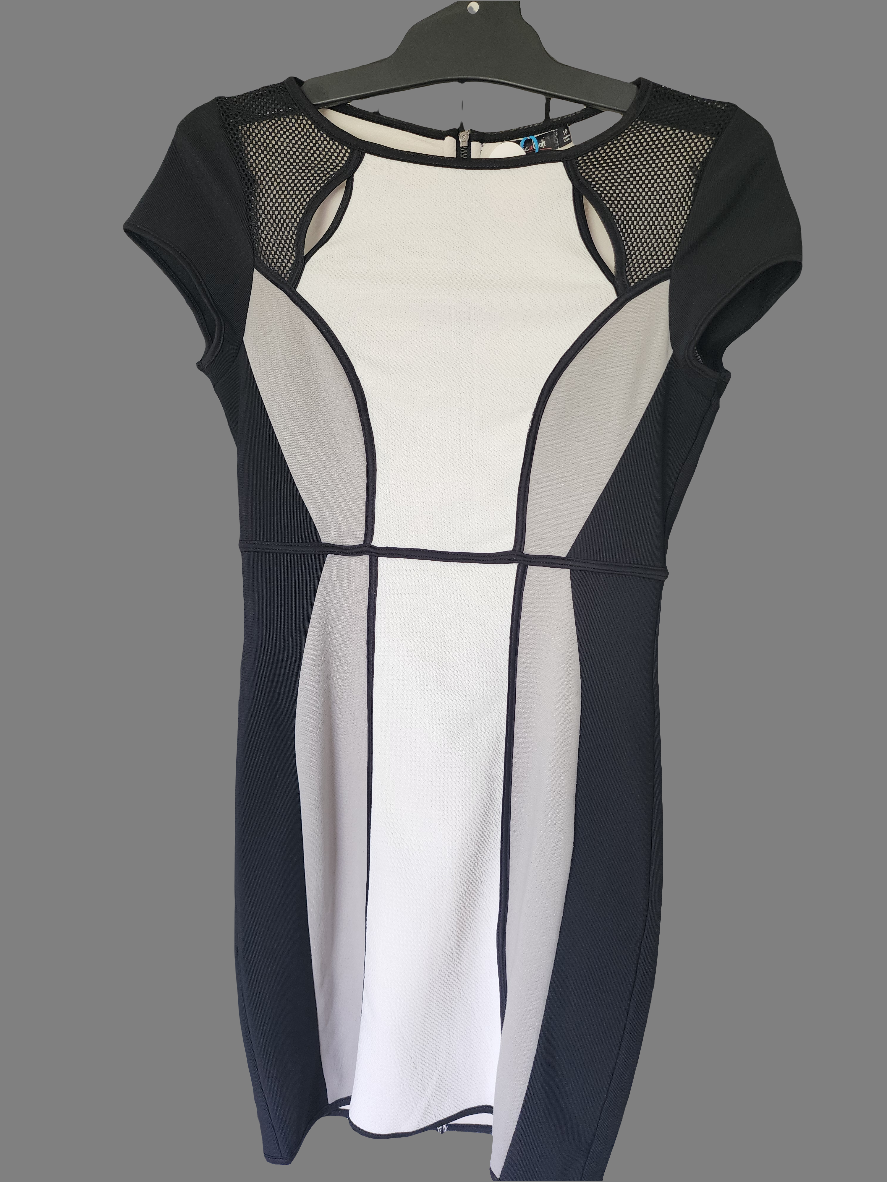 Ladies Dress