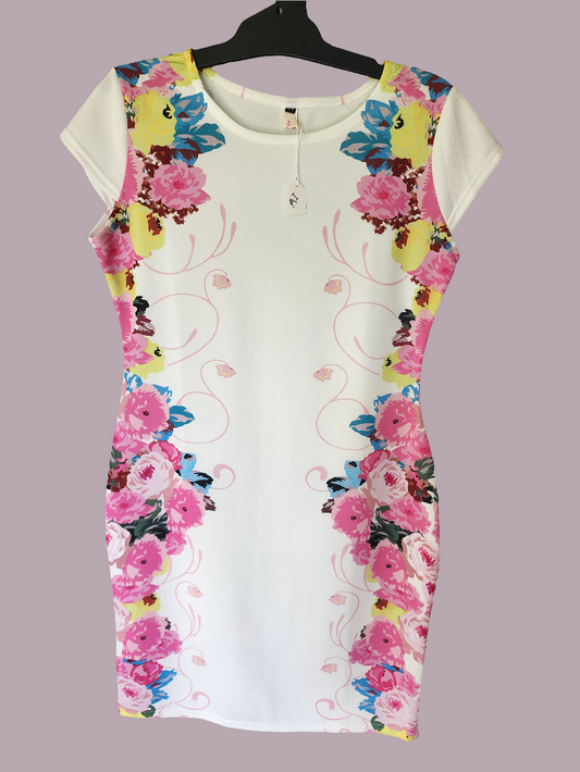 Ladies Dress