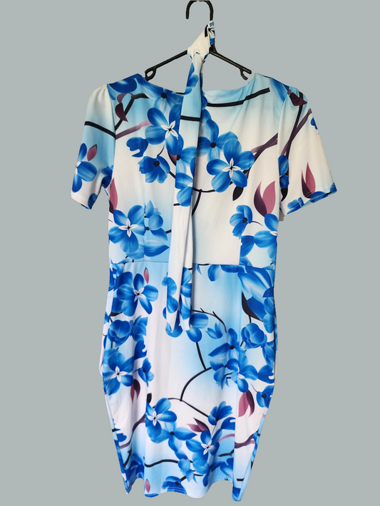 Ladies Dress