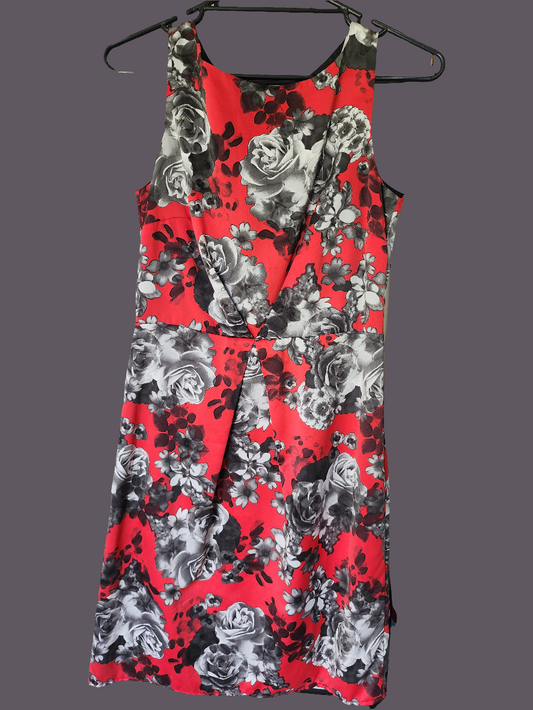 Ladies Dress