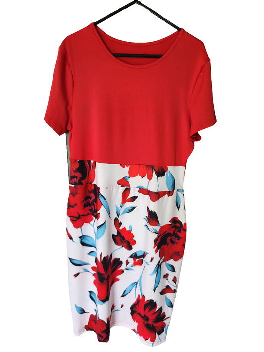 Ladies Dress